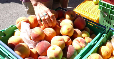 farmers market