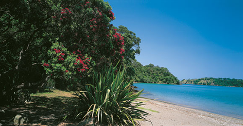 tutukaka whangarei