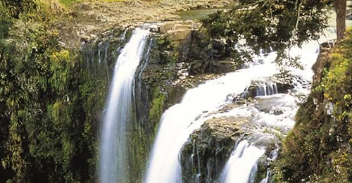 whangarei falls